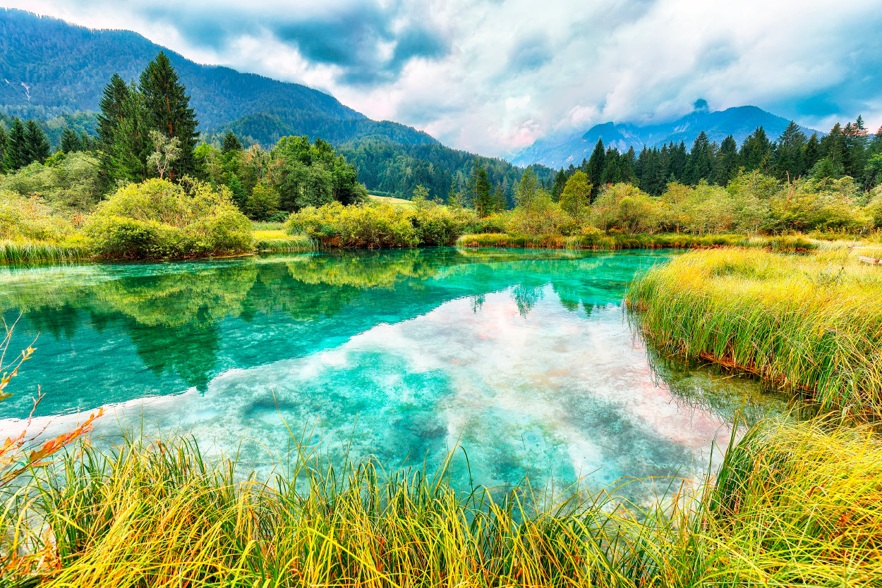 Summer Zelenci Lake Reflections in Water Slovenia Wall Art Decor 100% Australian Made