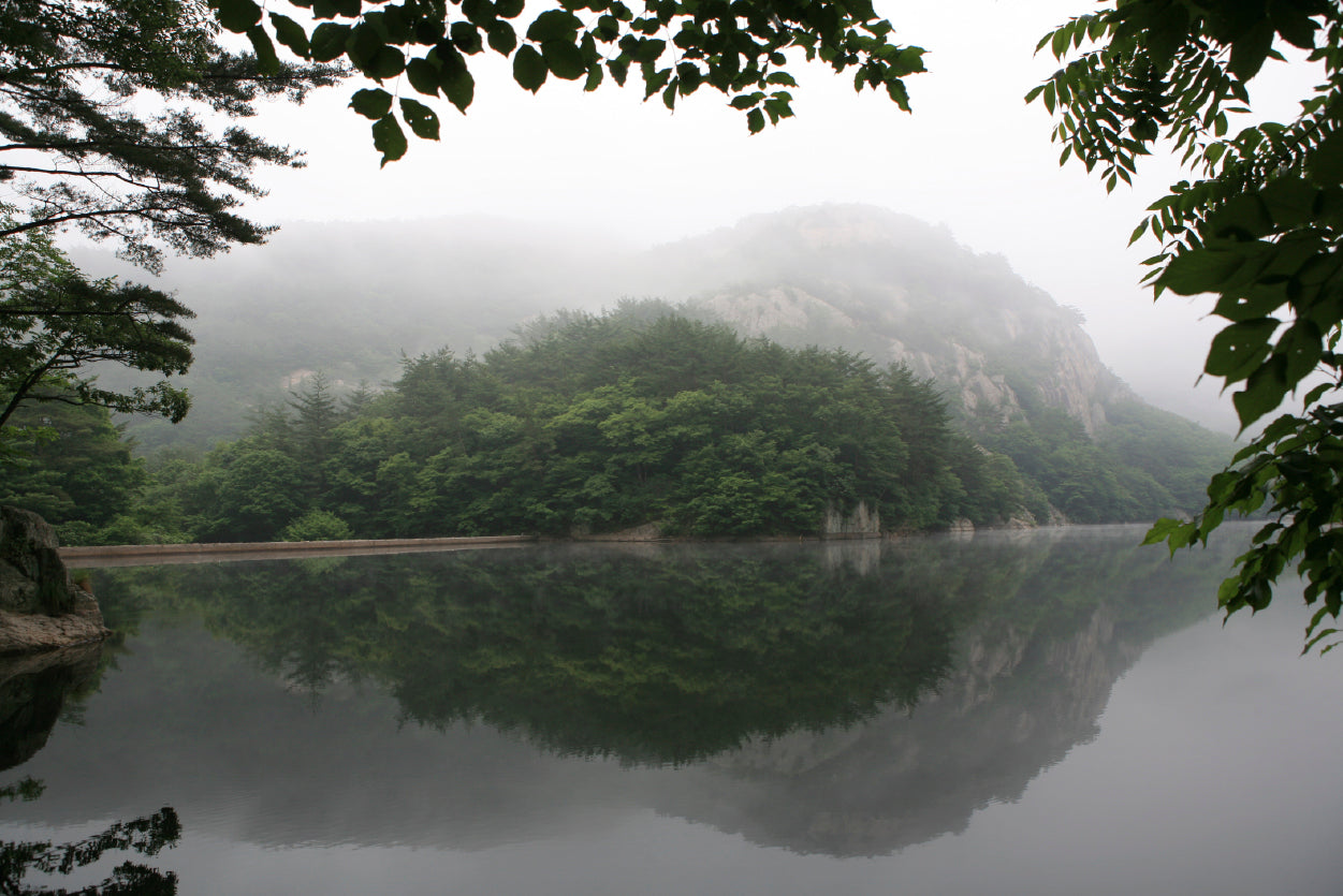 View of Morning on the Lake with Mountains Home Decor Premium Quality Poster Print Choose Your Sizes - Bella Home Decor