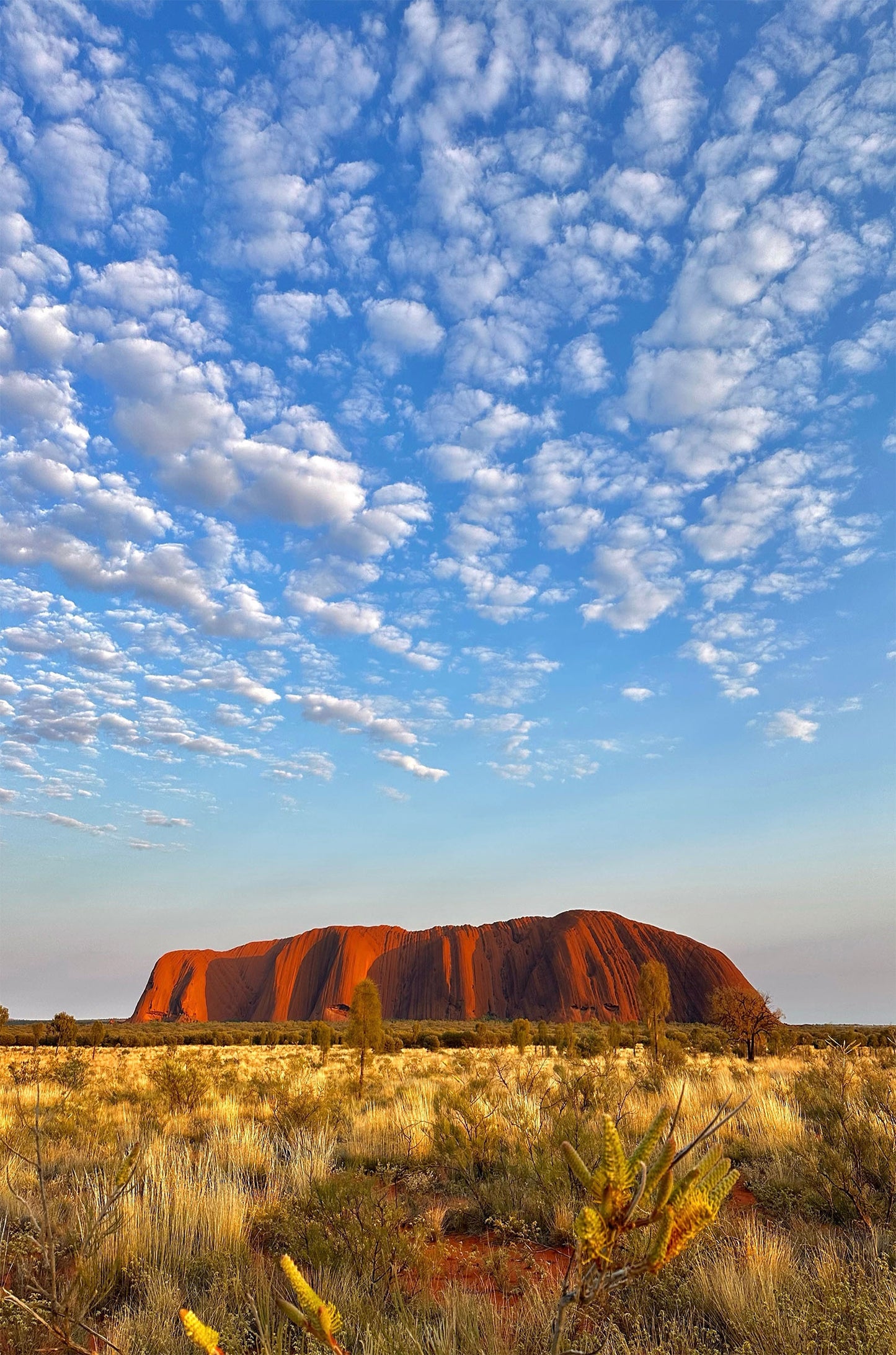 Uluru Ayers Rock Australia 60x90cm Metal Print Ready to Hang