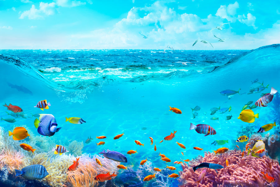 Fish In Underwater Sea Coral Reef Print 100% Australian Made
