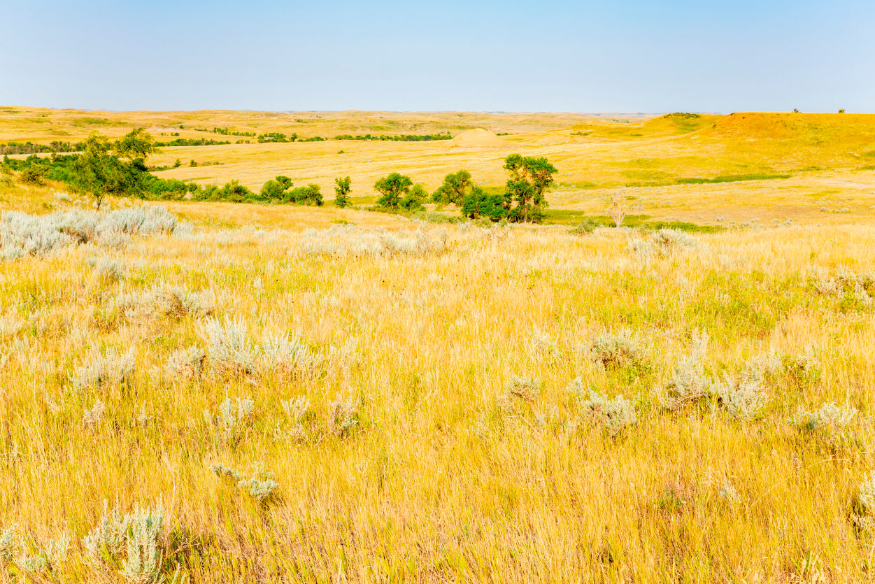 Missouri National Grassland in North Dakota Home Decor Premium Quality Poster Print Choose Your Sizes - Bella Home Decor