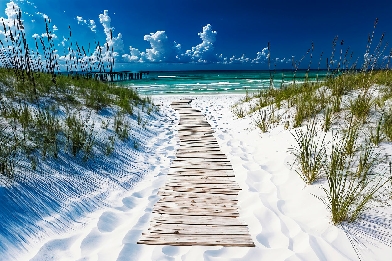 Sandy Wooden Pier Beach Path Coastline Wall Art Decor 100% Australian Made - Bella Home Decor