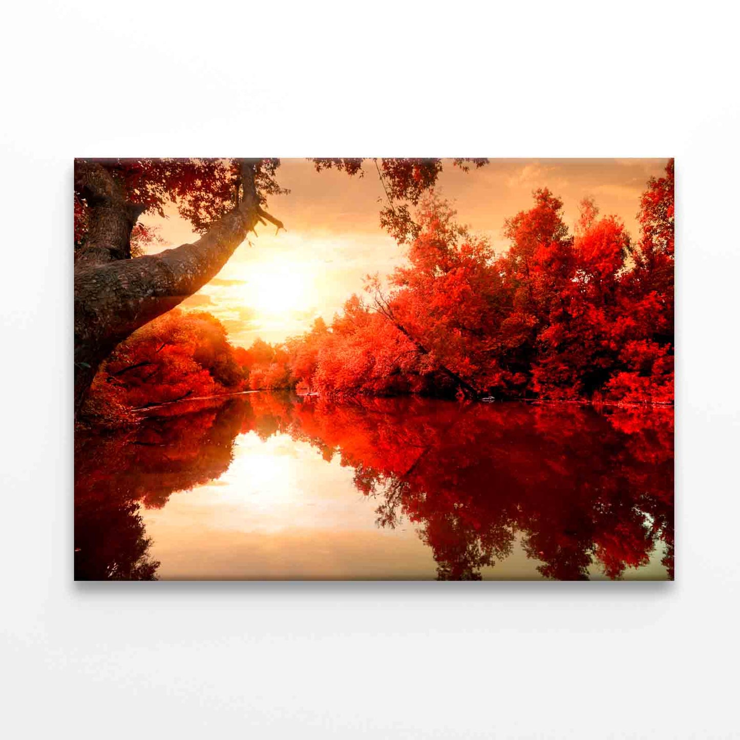 Red Leaves on Trees, Autumn River Wall Art Decor 100% Australian Made - Bella Home Decor