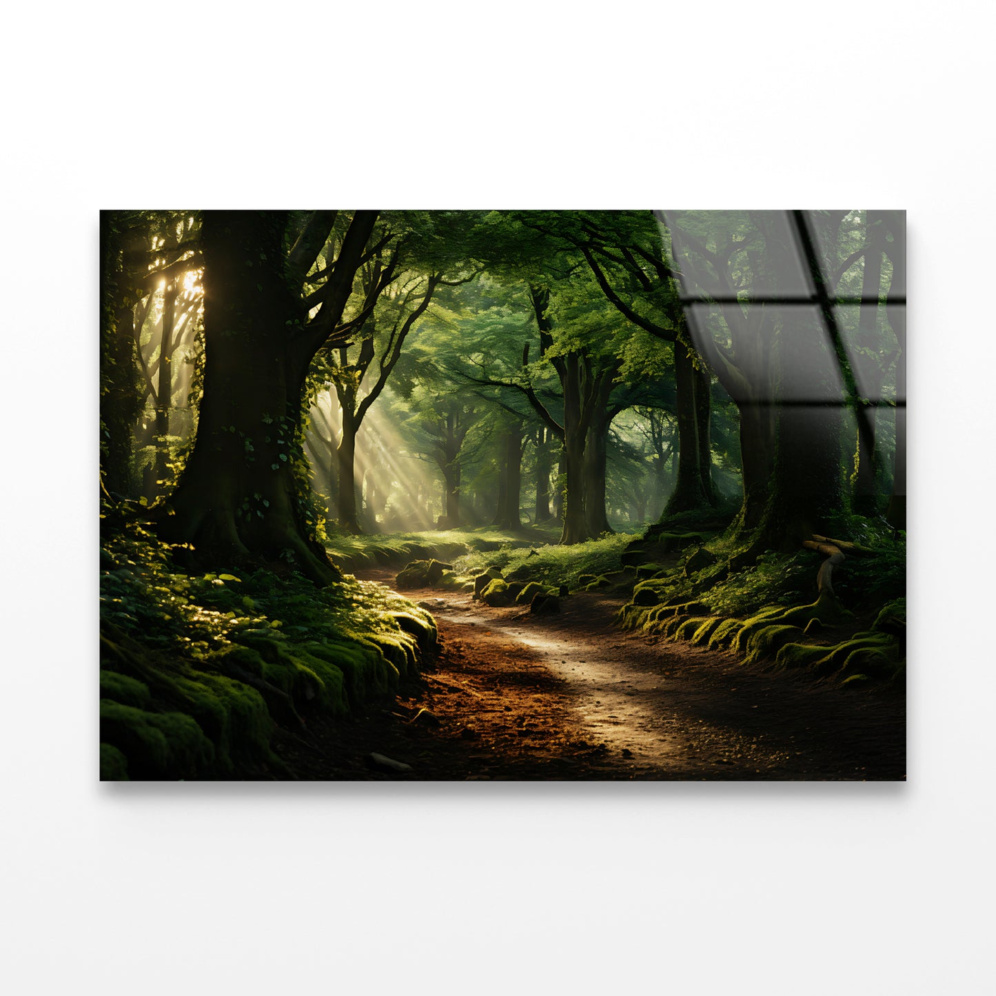 Morning in the Woods Acrylic Glass Print Tempered Glass Wall Art 100% Made in Australia Ready to Hang - Bella Home Decor