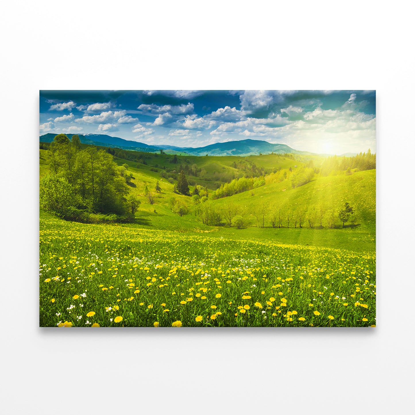 Yellow Flowers in Spring MeadowWall Art Decor 100% Australian Made - Bella Home Decor