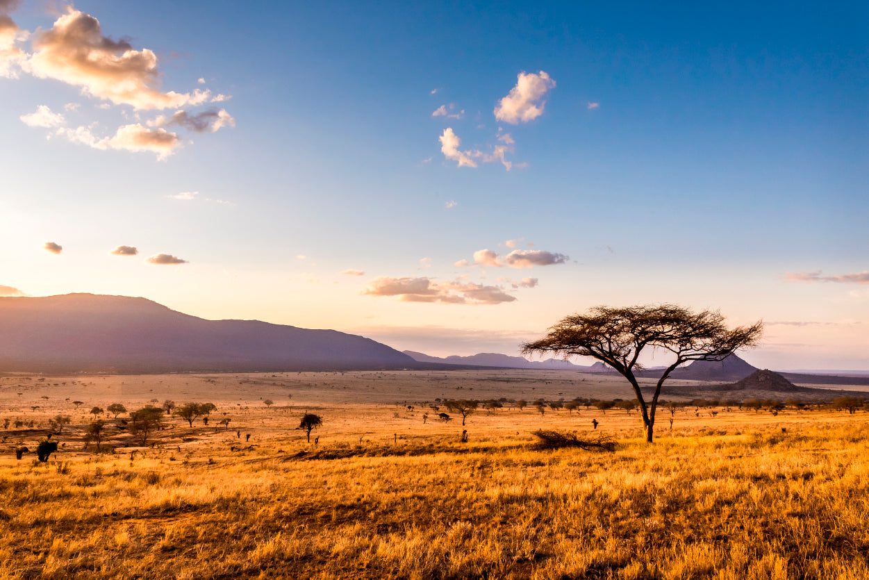 View of Sunset at Savannah Plains with Mountains Home Decor Premium Quality Poster Print Choose Your Sizes - Bella Home Decor