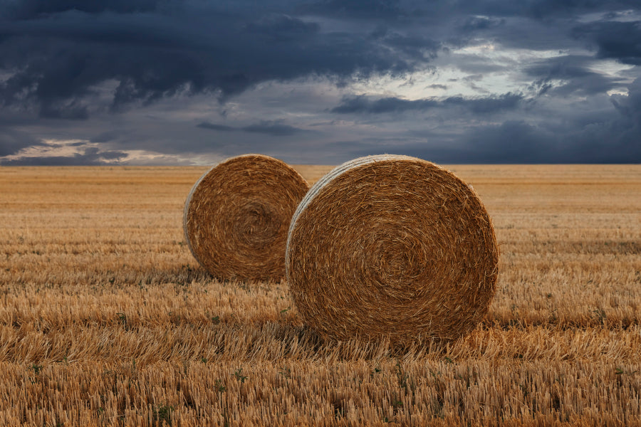 Straw Bales in A Field at Sunset View Home Decor Premium Quality Poster Print Choose Your Sizes - Bella Home Decor