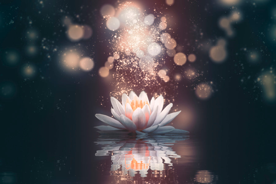 White Flower Floating in The Water with Sparkles Wall Art Decor 100% Australian Made - Bella Home Decor