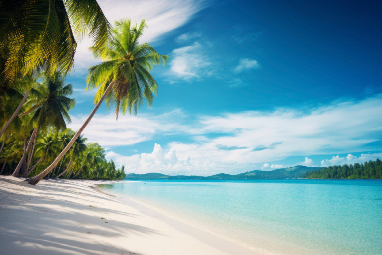 Beach with Palm Trees & a Clear Sky Home Decor Premium Quality Poster Print Choose Your Sizes - Bella Home Decor