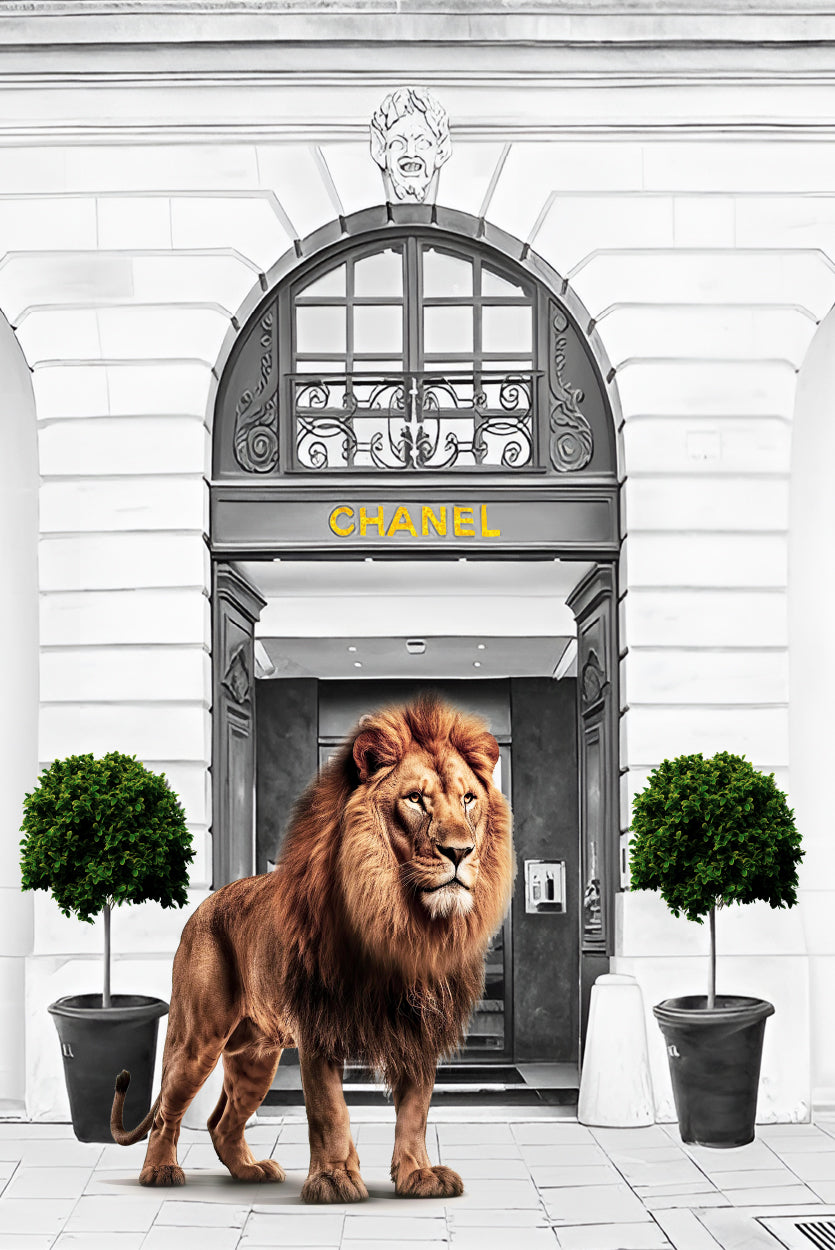 Black And White Fashion Store with Lion Design Home Decor Premium Quality Poster Print Choose Your Sizes