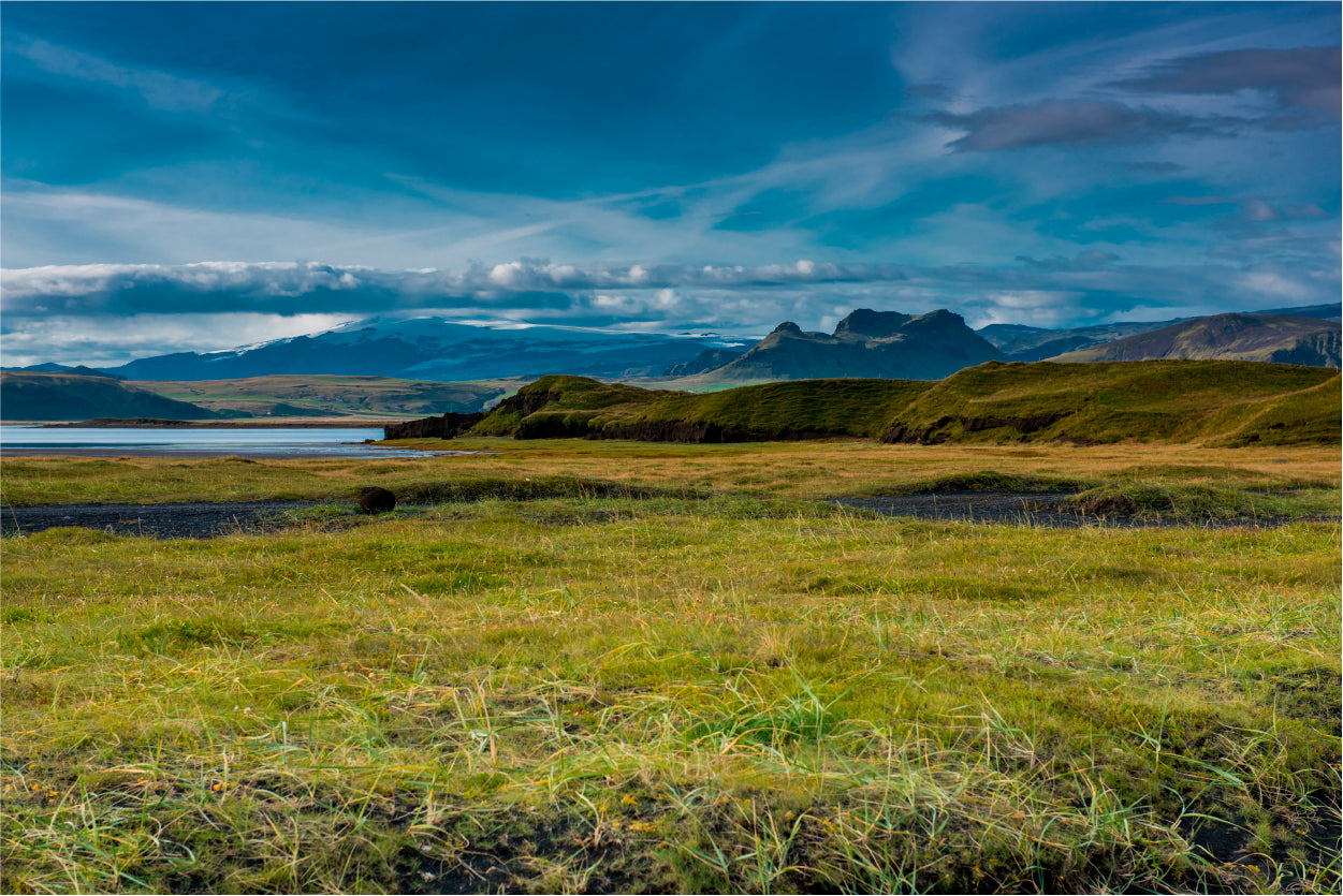 Green Grass Lands with Blue Sky Home Decor Premium Quality Poster Print Choose Your Sizes - Bella Home Decor