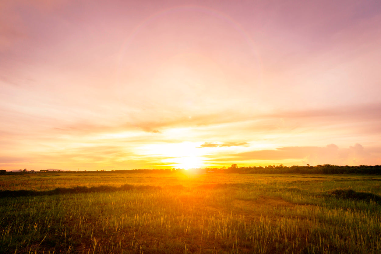 Empty Grassland and Sunset Home Decor Premium Quality Poster Print Choose Your Sizes - Bella Home Decor