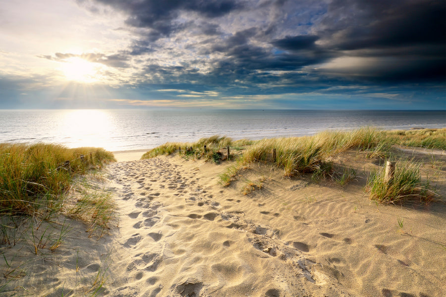 Sand Path to North Sea Beach in Sunshine, Holland Acrylic Glass Print Tempered Glass Wall Art 100% Made in Australia Ready to Hang - Bella Home Decor
