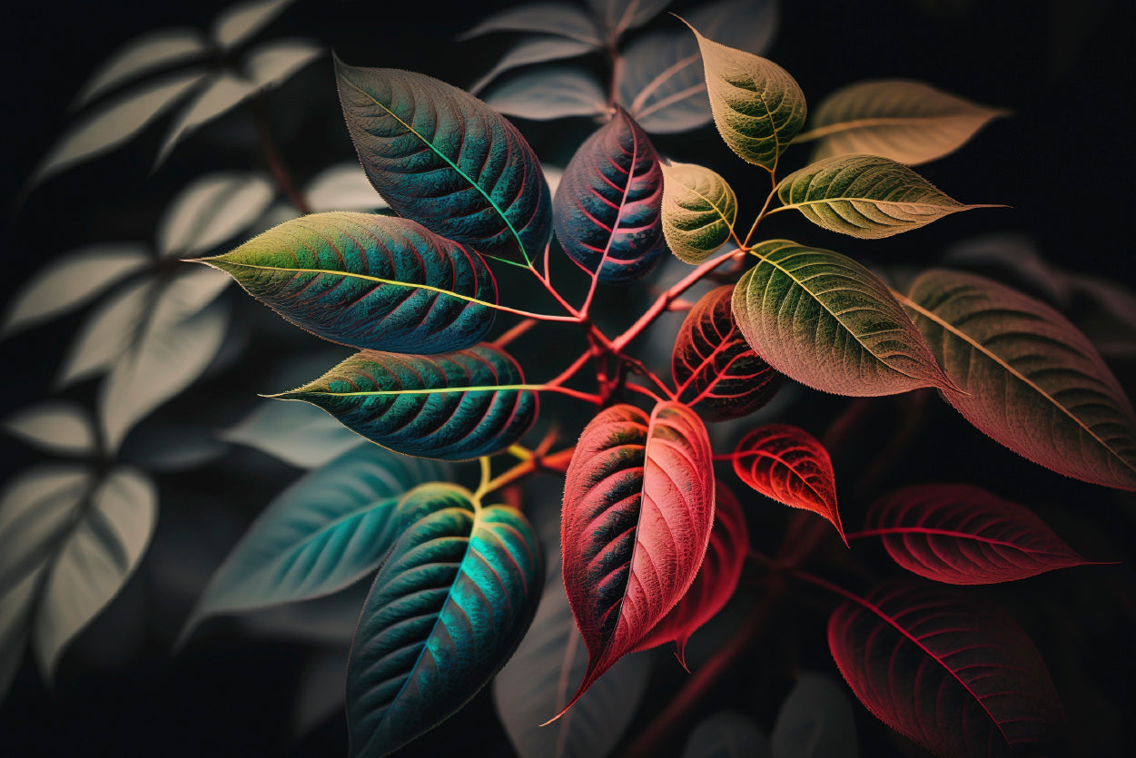 Leaves Close-Up View Home Decor Premium Quality Poster Print Choose Your Sizes - Bella Home Decor