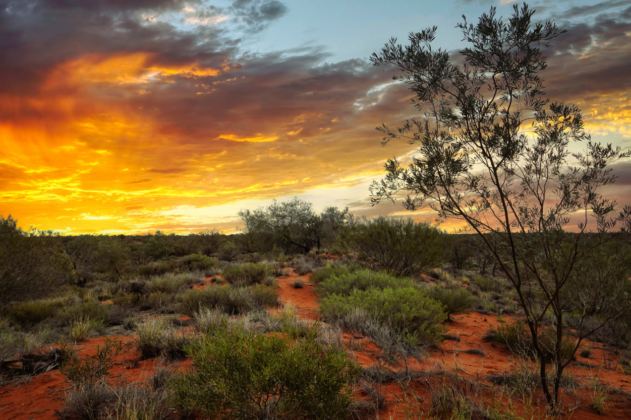 Stunning outback sunset over Yandoo Creek, Western Australia Wall Art Decor 100% Australian Made