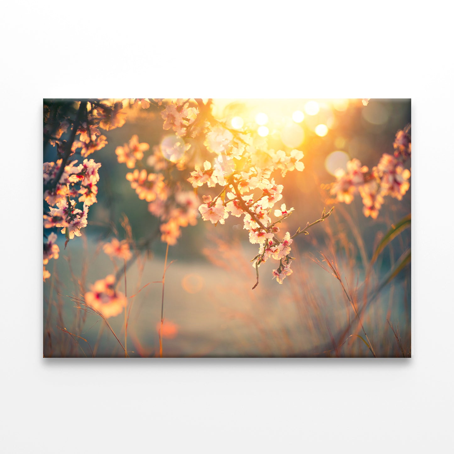Spring Blossom with Sun Flares Wall Art Decor 100% Australian Made - Bella Home Decor