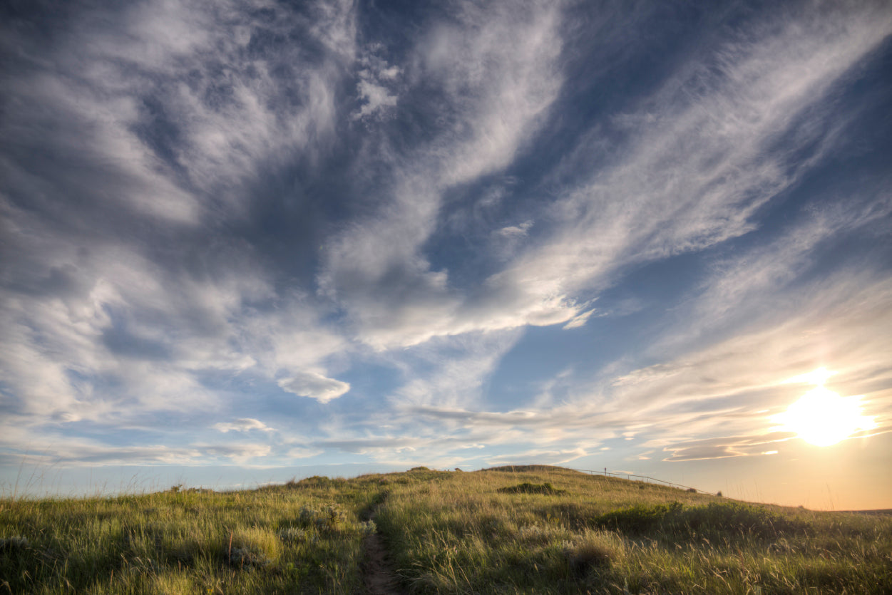 Sunset over a Grassland Trail Home Decor Premium Quality Poster Print Choose Your Sizes - Bella Home Decor