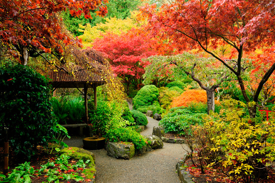 Autumnal Japanese Garden in Victoria Home Decor Premium Quality Poster Print Choose Your Sizes - Bella Home Decor