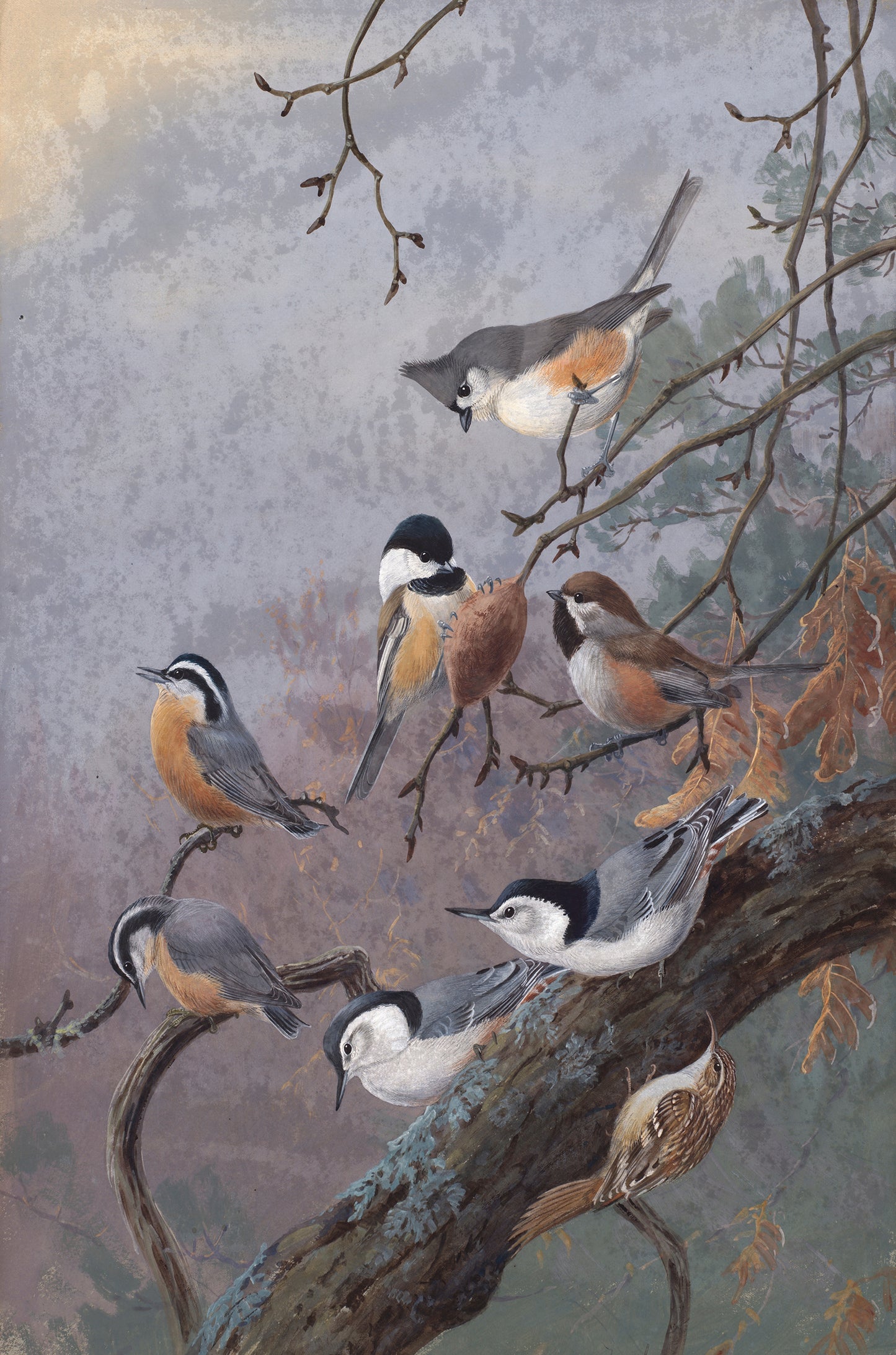 Winter Birds Wildlife Painting 60x90cm Metal Print Ready to Hang