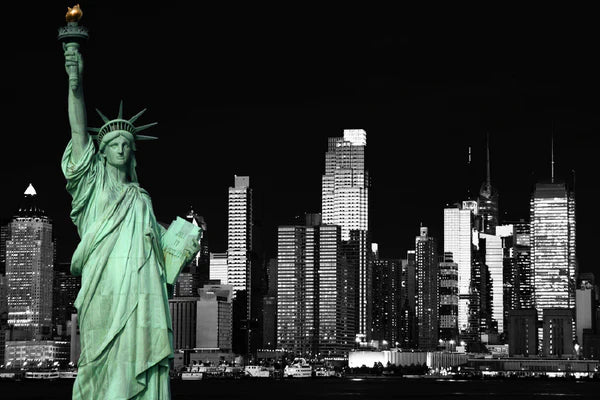 Liberty Island In New York City B&W Photograph 90x60cm Print 100% Australian Made - Bella Home Decor