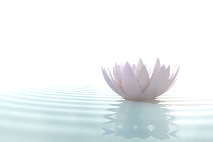 White Lotus Flower on Water Acrylic Glass Print Tempered Glass Wall Art 100% Made in Australia Ready to Hang - Bella Home Decor