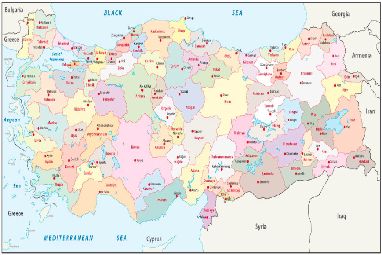 Türkiye Administrative Map Home Decor Premium Quality Poster Print Choose Your Sizes - Bella Home Decor