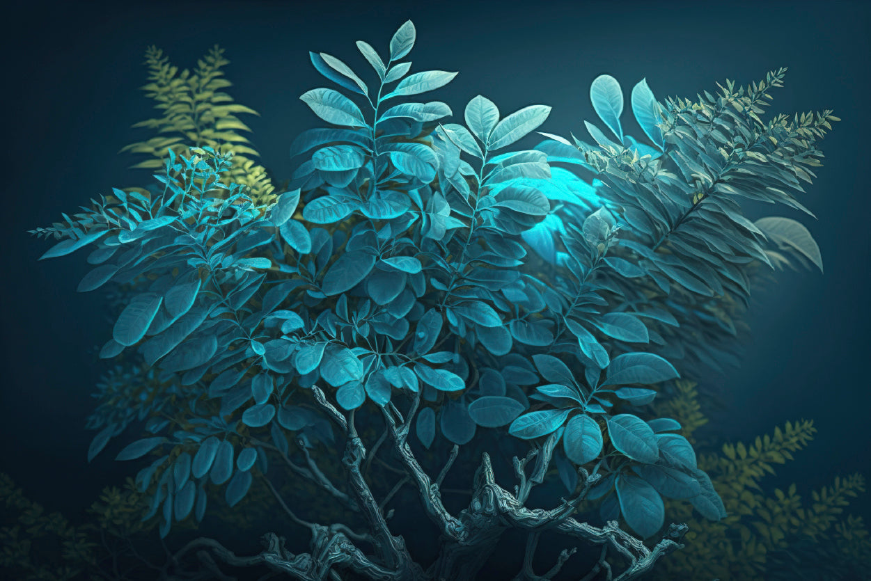 Reef and Various Underwater Organisms Home Decor Premium Quality Poster Print Choose Your Sizes - Bella Home Decor