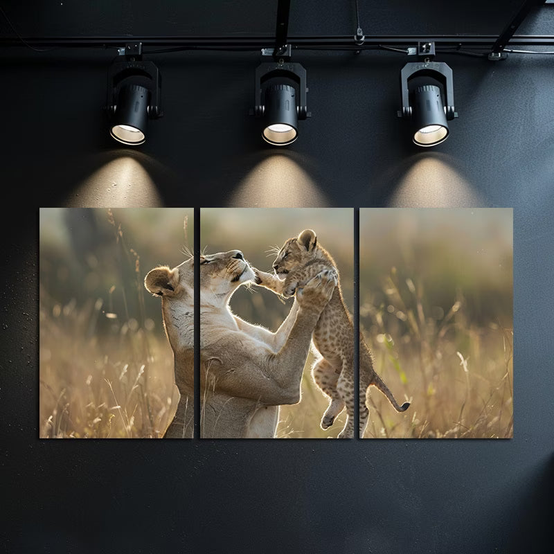 3pcs Lioness and Cub Wildlife Wall Art Set Canvas Framed 40x60cm - High Quality Print 100% Australian Made Wall Canvas Ready to Hang