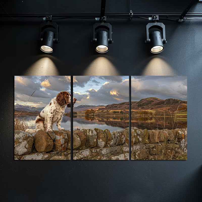3pcs Irish Springer Spaniel Dog Landscape Wall Art Set Canvas Framed 50x70cm - High Quality Print 100% Australian Made Wall Canvas Ready to Hang