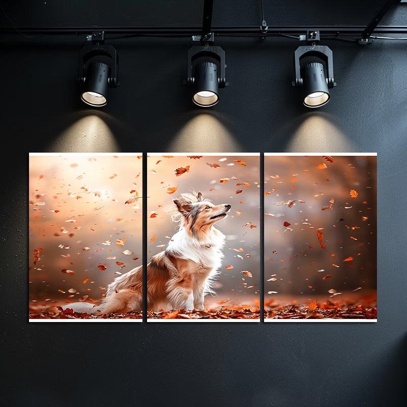 3pcs Shetland Sheepdog in Autumn Leaves Wall Art Set Canvas Framed 50x70cm - High Quality Print 100% Australian Made Wall Canvas Ready to Hang