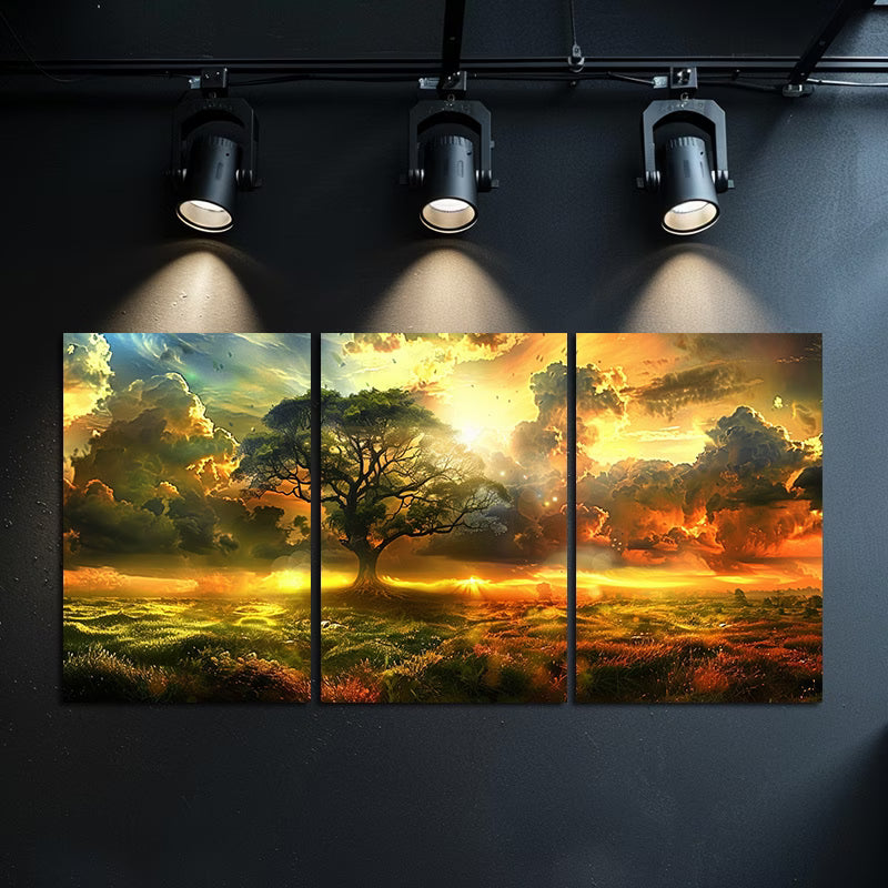 3pcs Tree in The Middle of An Open Field Wall Art Set Canvas Framed 50x70cm - High Quality Print 100% Australian Made Wall Canvas Ready to Hang