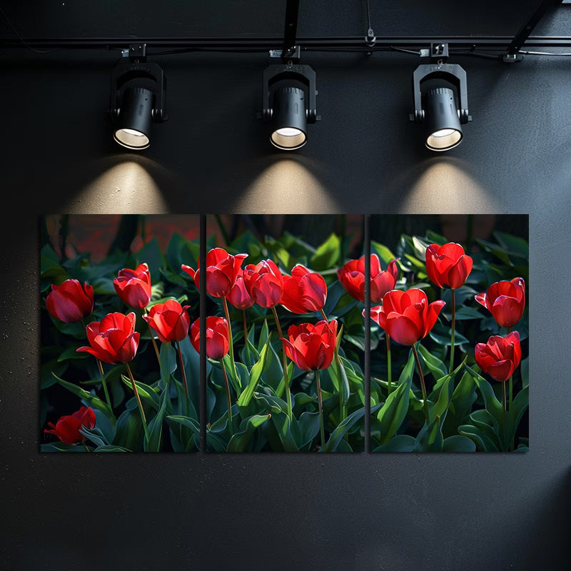 3pcs Vibrant Display of Red Tulips in Full Bloom Wall Art Set Canvas Framed 40x60cm - High Quality Print 100% Australian Made Wall Canvas Ready to Hang
