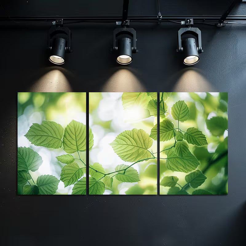 3pcs Close Up of Green Leaves with Lens Flare Wall Art Set Canvas Framed 40x60cm - High Quality Print 100% Australian Made Wall Canvas Ready to Hang - Bella Home Decor