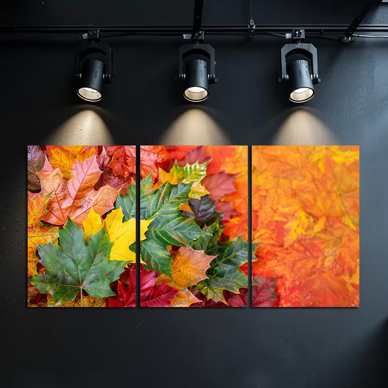 3pcs Vibrant Autumn Leaves in Different Shades Wall Art Set Canvas Framed 40x60cm - High Quality Print 100% Australian Made Wall Canvas Ready to Hang