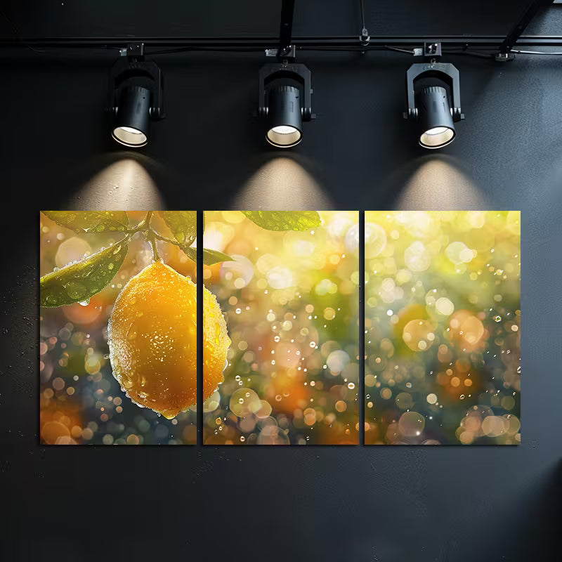 3pcs Lemon Hanging on Tree Wall Art Set Canvas Framed 50x70cm - High Quality Print 100% Australian Made Wall Canvas Ready to Hang