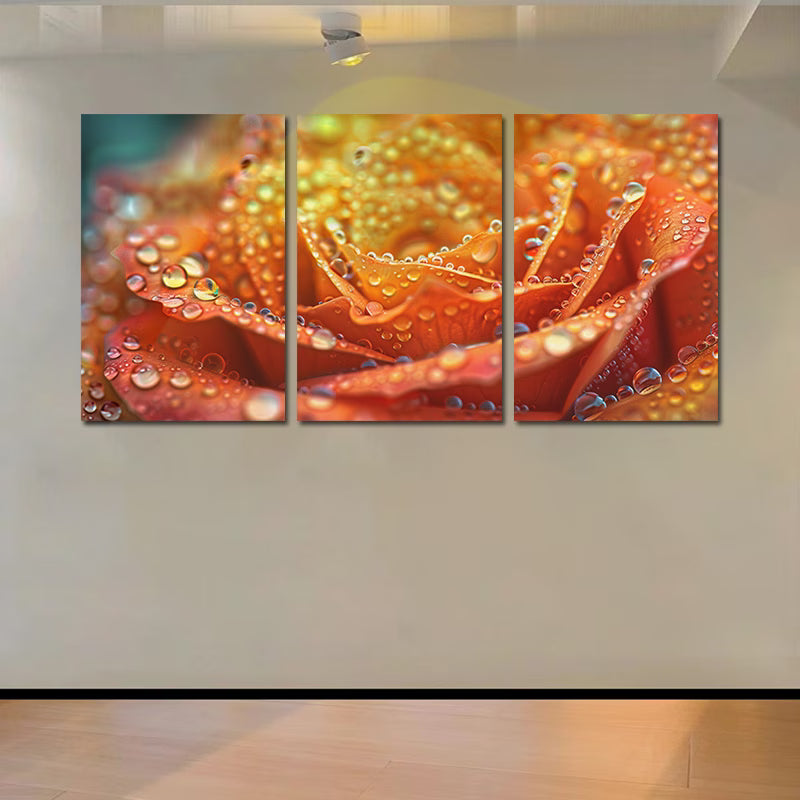 3pcs Abstract Colorful Rose with Water Drops Wall Art Set Canvas Framed 50x70cm - High Quality Print 100% Australian Made Wall Canvas Ready to Hang - Bella Home Decor