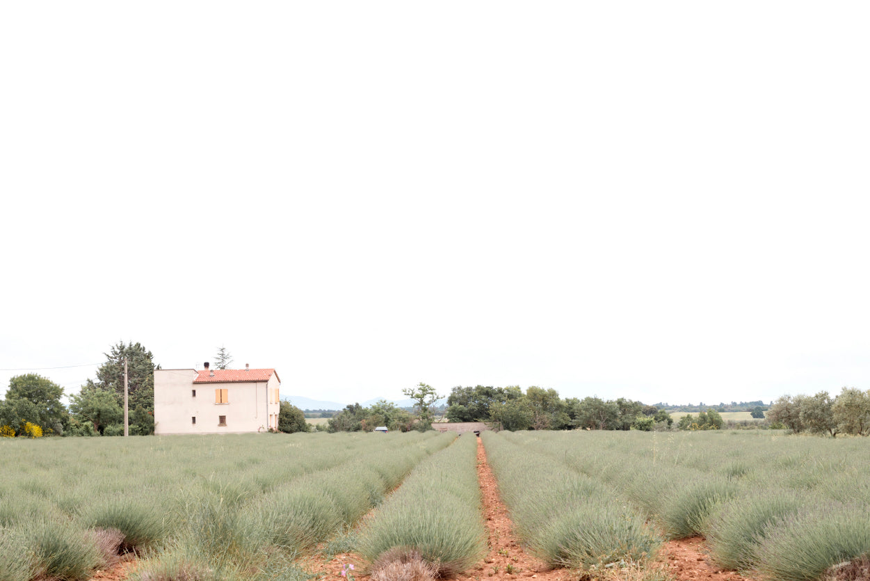 A House Located In a Field with Green Grass Home Decor Premium Quality Poster Print Choose Your Sizes - Bella Home Decor