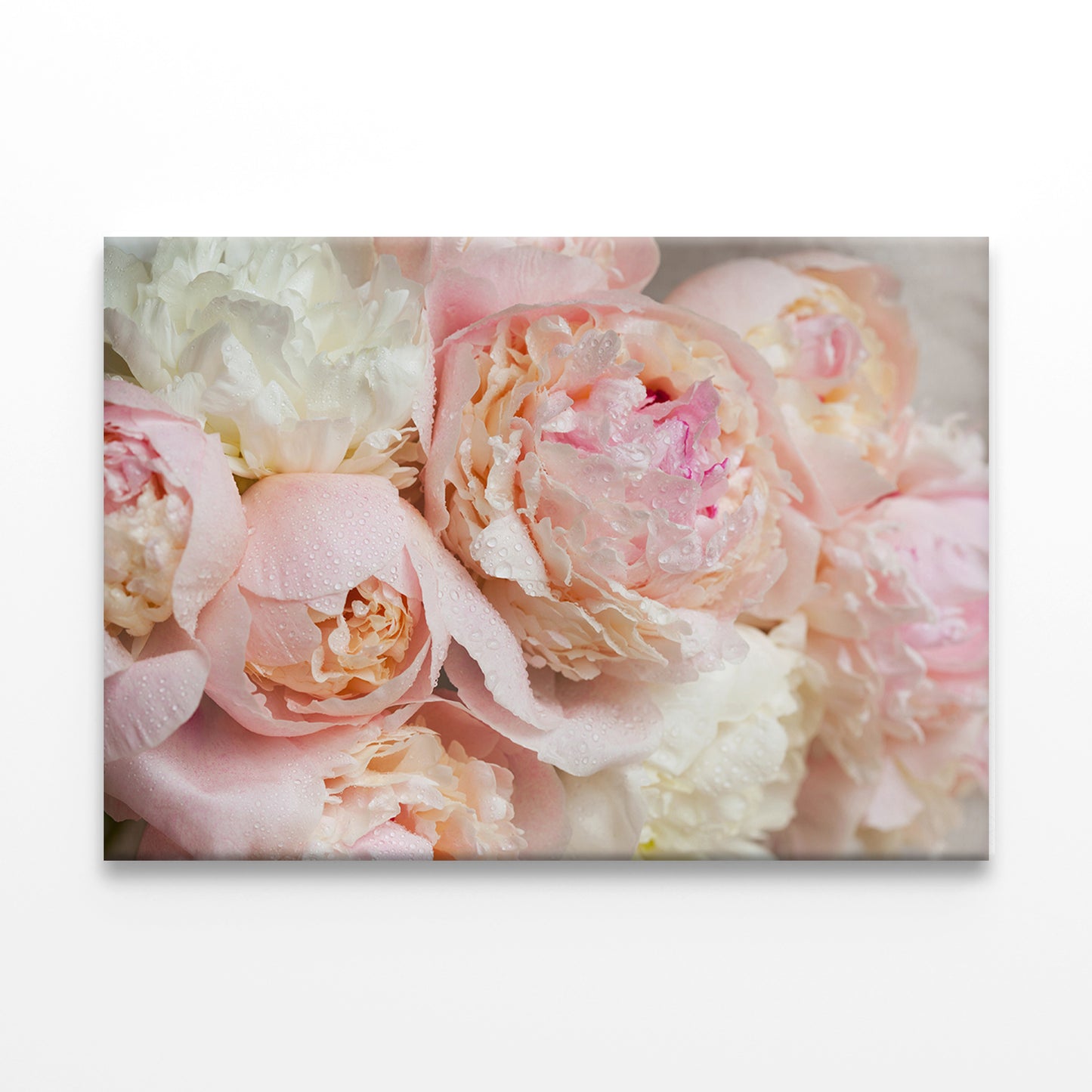 Pink Peonies Bouquet Close-Up Wall Art Decor 100% Australian Made - Bella Home Decor