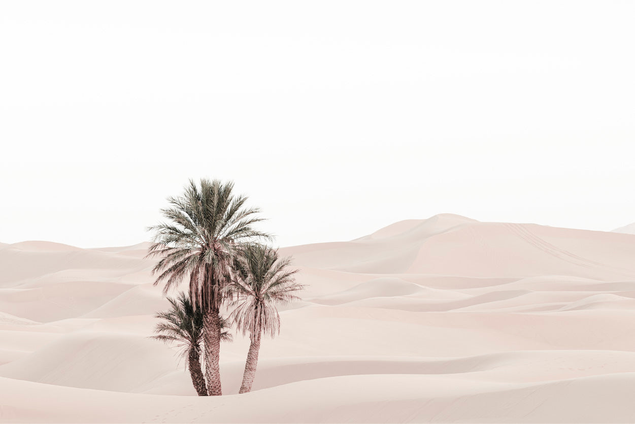 Desert Trees View Faded Photograph Glass Framed Wall Art, Ready to Hang Quality Print