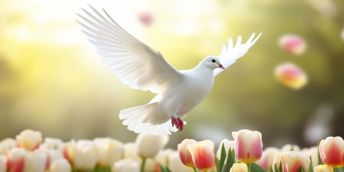 White Dove Bird Flying Spring Tulips Floral Meadow Wall Art Canvas Office Home Framed 120x60cm - Bella Home Decor