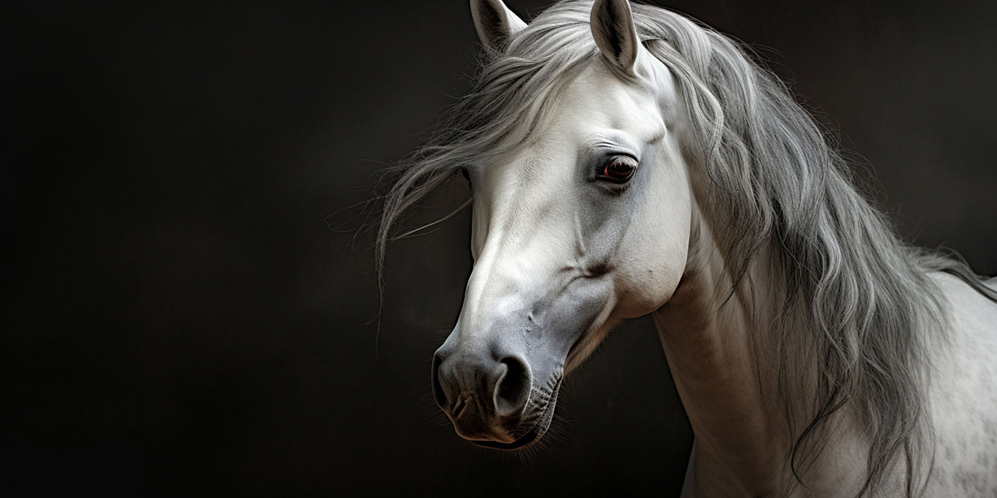 Realistic White Horse Head Wall Art Canvas Office Home Room Framed 120x60cm - Bella Home Decor