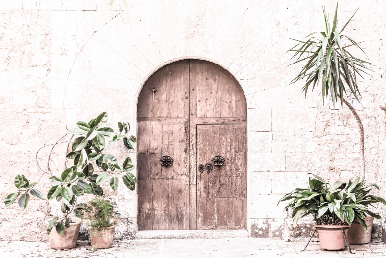 Plants near House Door Faded Photograph Glass Framed Wall Art, Ready to Hang Quality Print