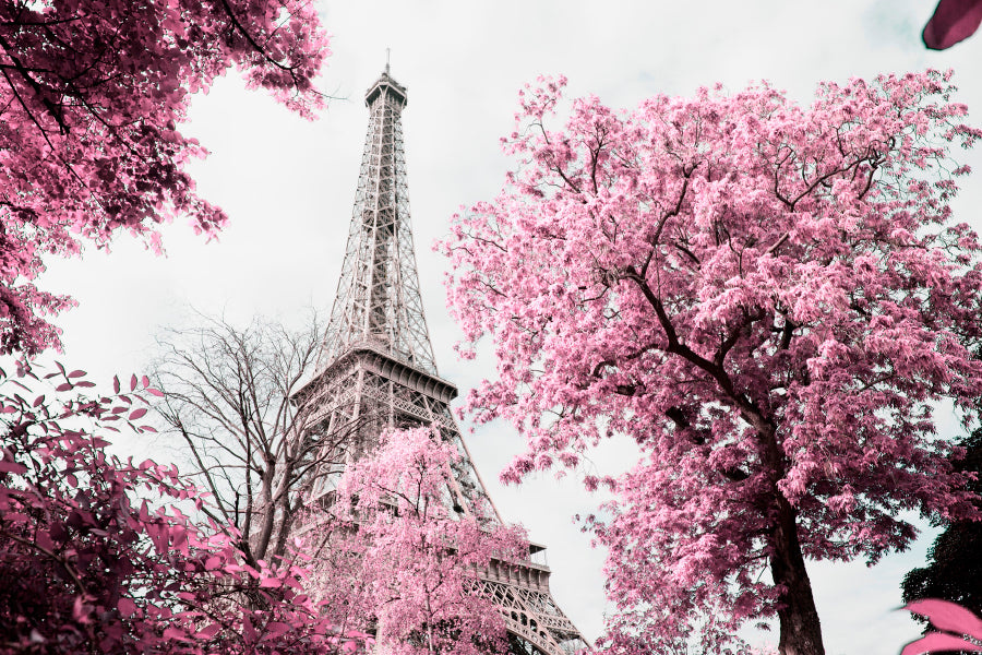 Pink Tree In Front of The Eiffel Tower Wall Art Decor 100% Australian Made - Bella Home Decor
