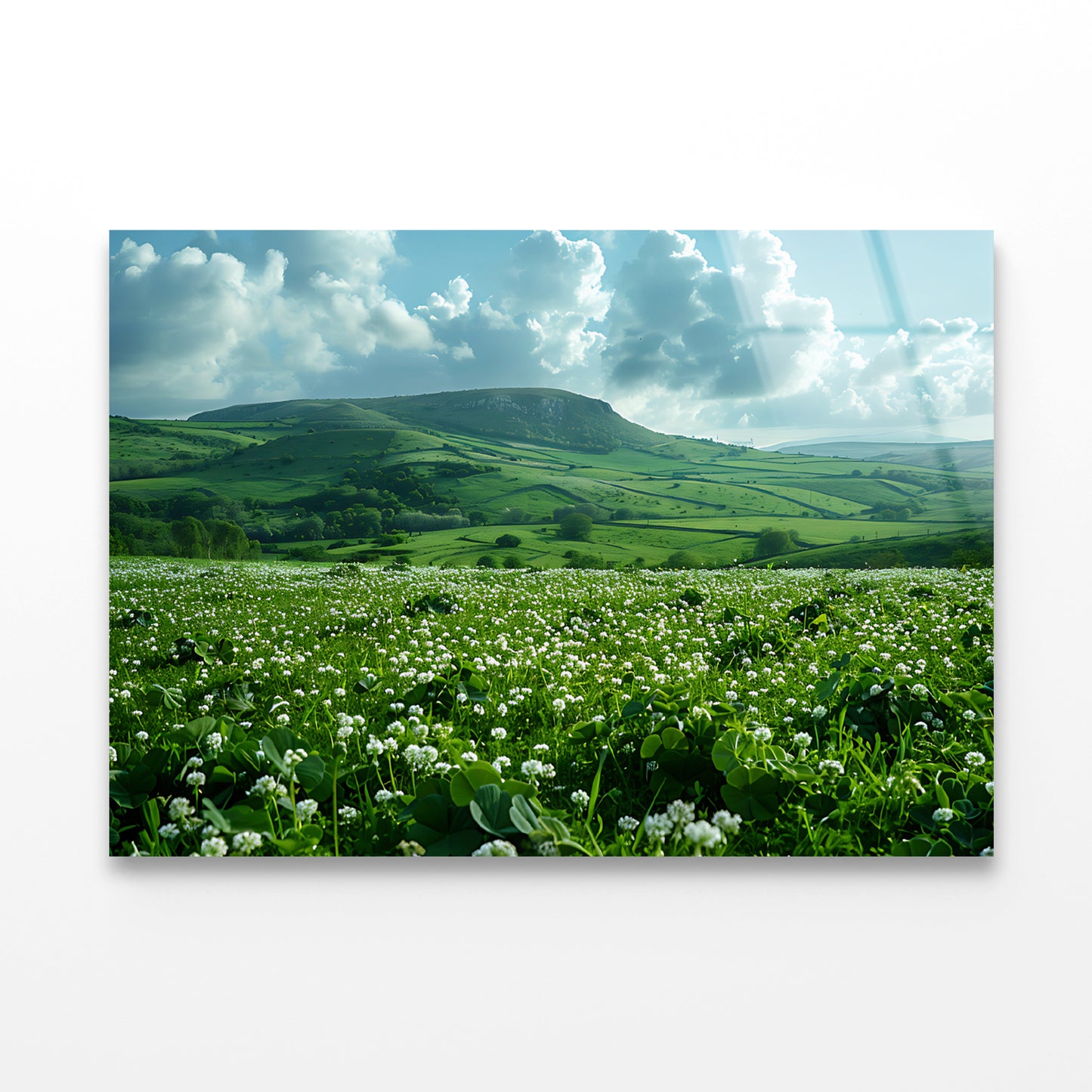 Field with Blue Sky View Acrylic Glass Print Tempered Glass Wall Art 100% Made in Australia Ready to Hang - Bella Home Decor