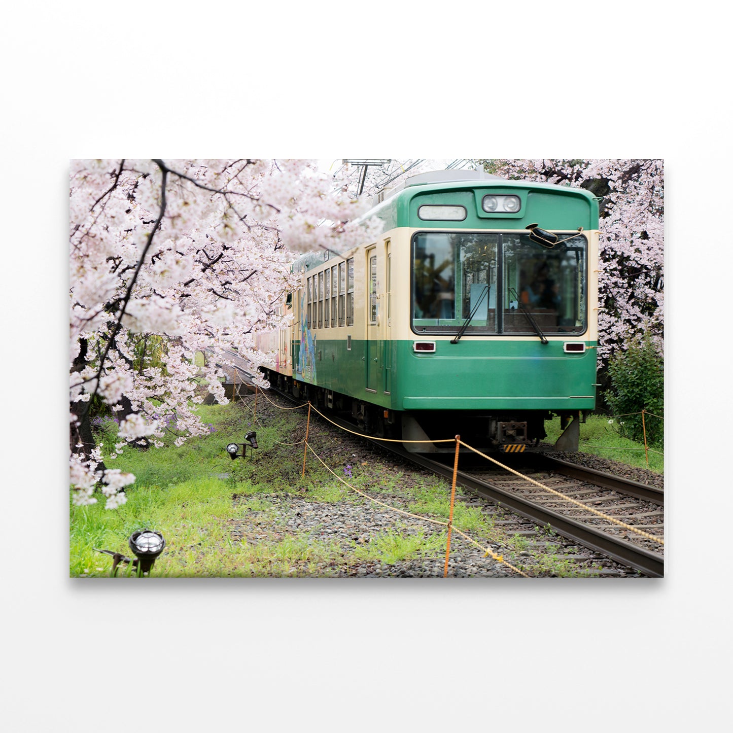 Kyoto Train with Cherry Blossoms Wall Art Decor 100% Australian Made - Bella Home Decor