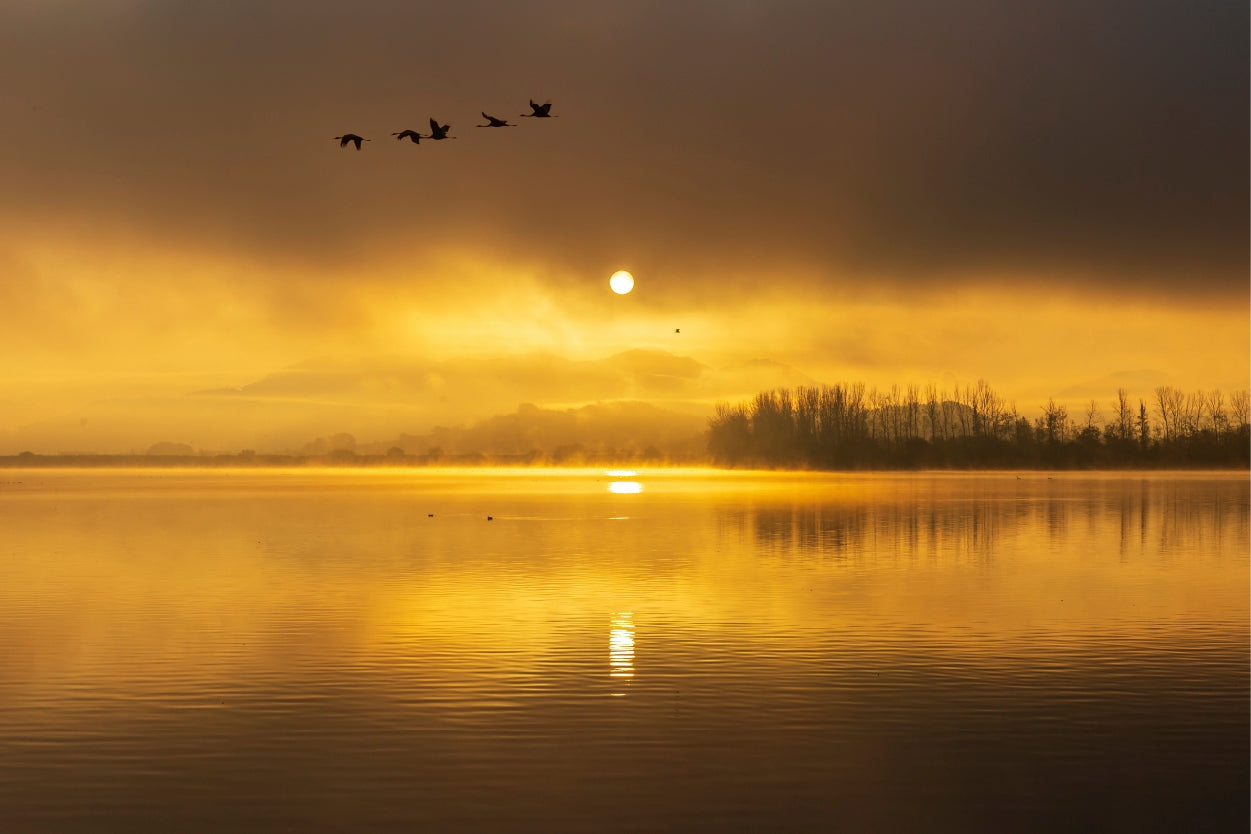 Golden Morning Sunrise At The Junam Reservoir South Korea Wall Art Decor 100% Australian Made