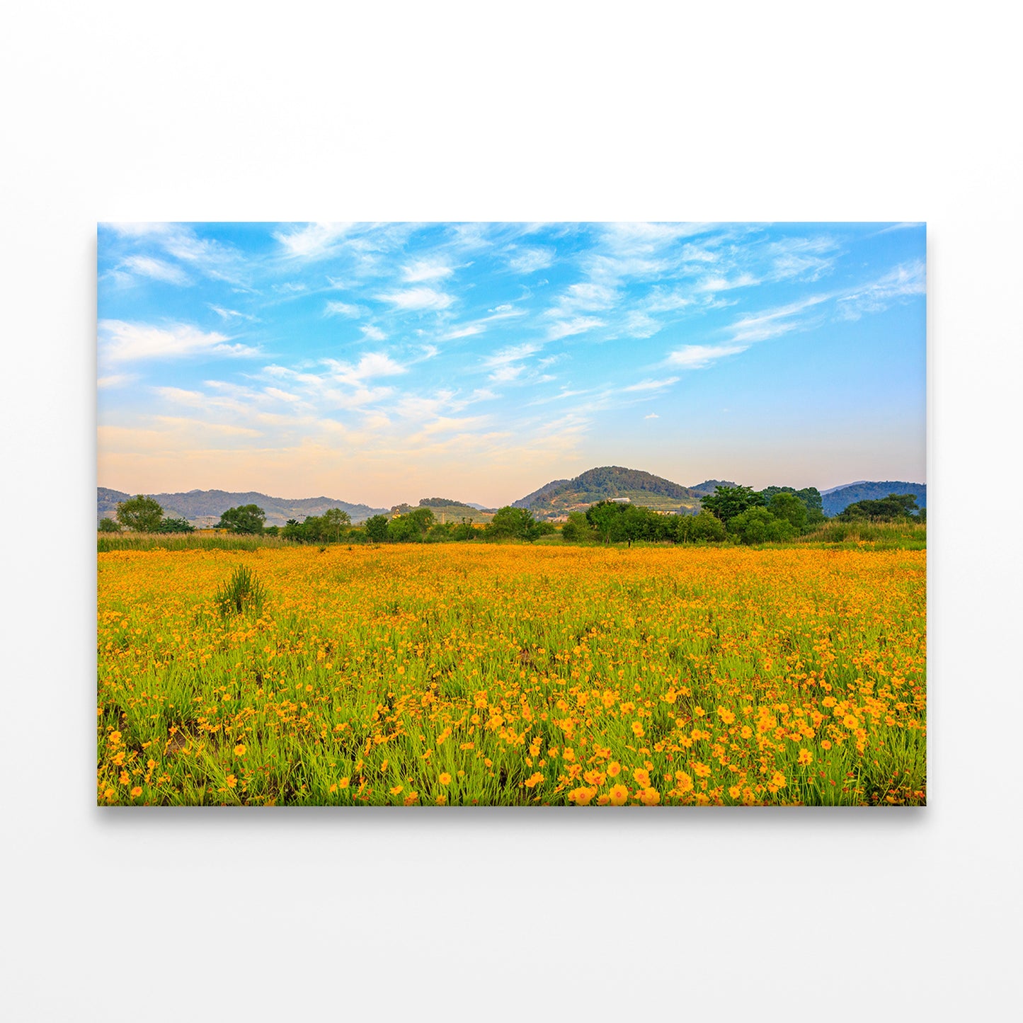 Spring Scenery of Buk-myeon Park Wall Art Decor 100% Australian Made - Bella Home Decor