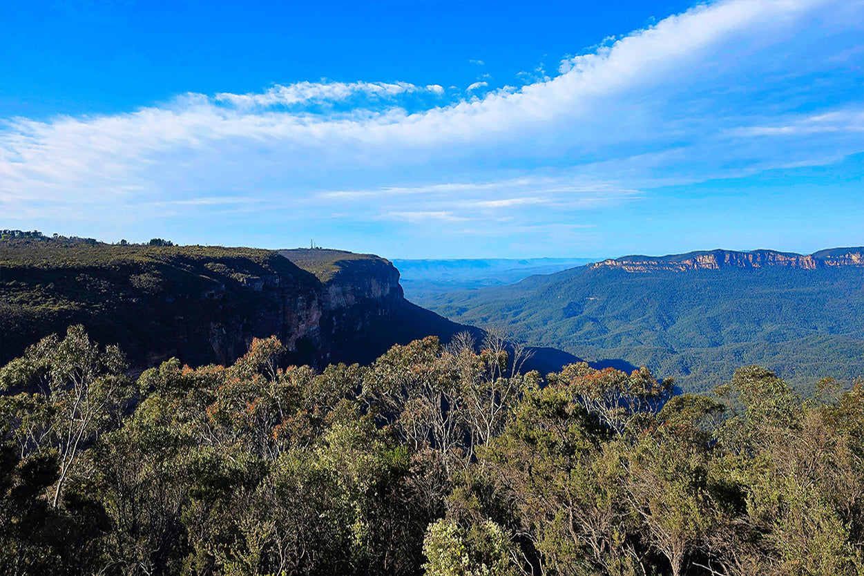Blue Mountains National Park NSW Sunny Day Scenic Wall Art Decor 100% Australian Made