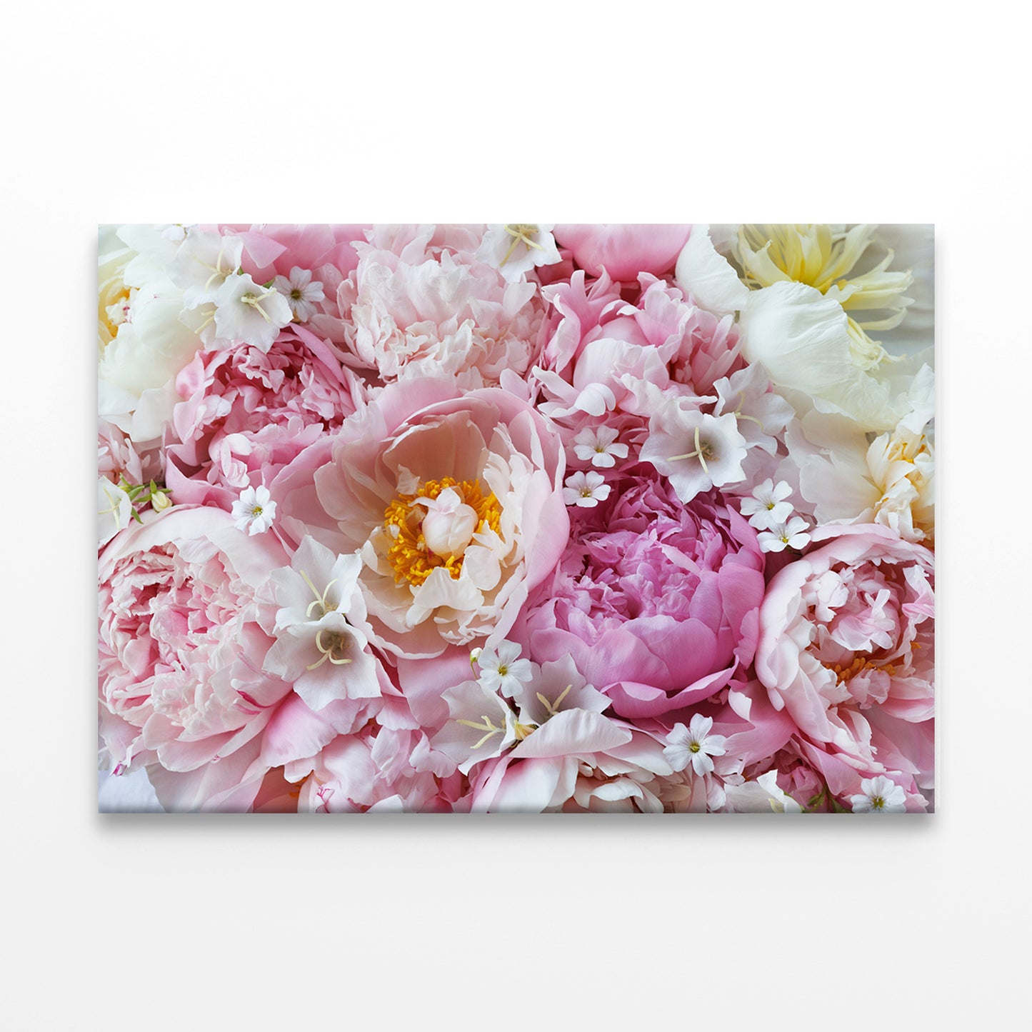 Pink and White Peonies Closeup Wall Art Decor 100% Australian Made - Bella Home Decor