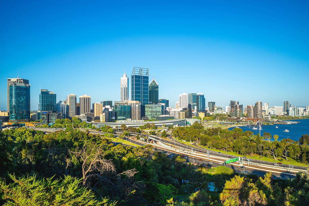 Kings Park and Botanic Garden Perth Skyline Wall Art Decor 100% Australian Made